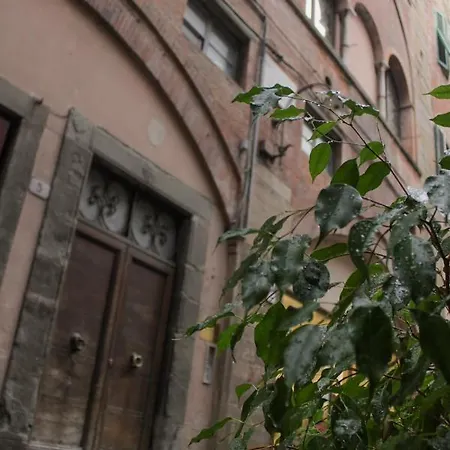 Bed & Breakfast L'antica Bifore Lucca